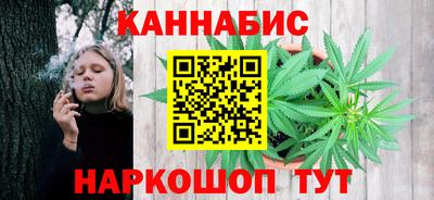 не бодяженный Гай