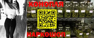 не бодяженный Гай