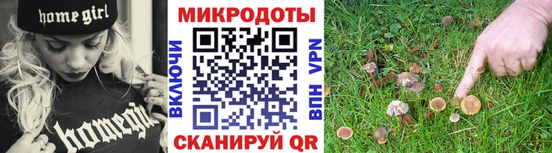 Галлюциногенные грибы MAGIC MUSHROOMS  Каменск-Уральский 
