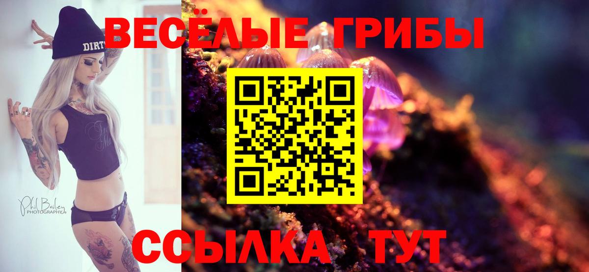 Псилоцибиновые грибы GOLDEN TEACHER Каменск-Уральский