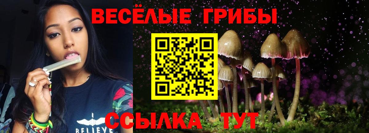 Псилоцибиновые грибы Cubensis Каменск-Уральский