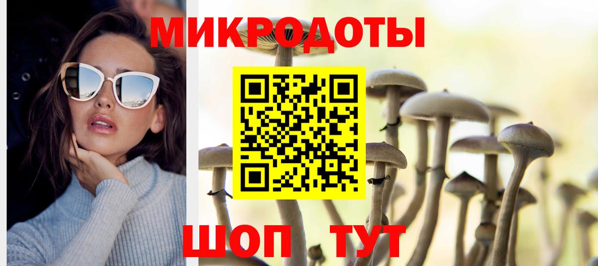 Галлюциногенные грибы Psilocybine cubensis  закладка  Вход с VPN  Каменск-Уральский  Псилоцибиновые грибы GOLDEN TEACHER 